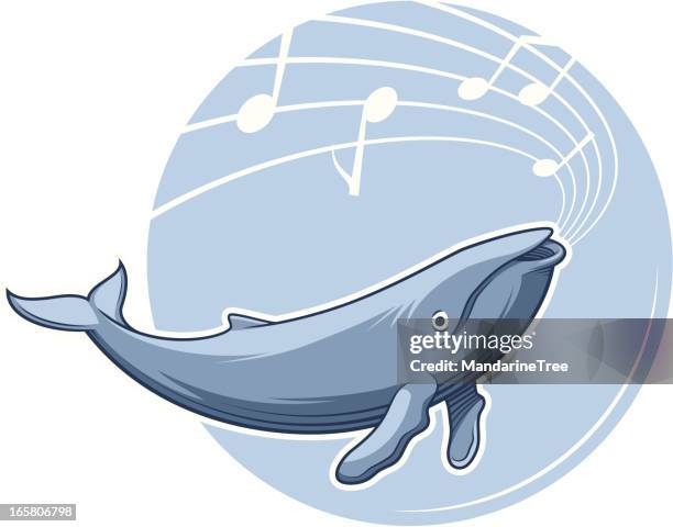 whale song - humpback whale stock illustrations