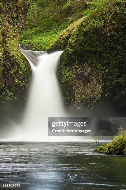 mighty waterfall thundering into wilderness forest pool - eagle creek trail stockfoto's en -beelden