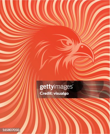 Eagle Eagle