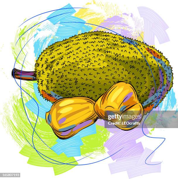 tasty jack fruit - jackfruit stock illustrations