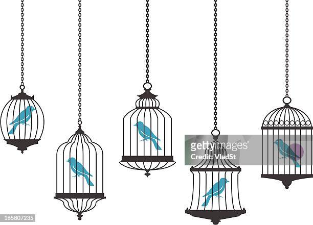 ilustrações de stock, clip art, desenhos animados e ícones de aves em gaiolas - birdcage