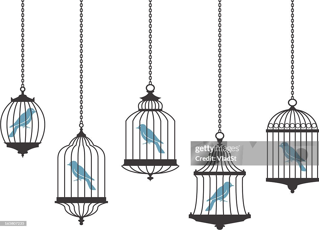 Vector graphics of birds in hanging cages