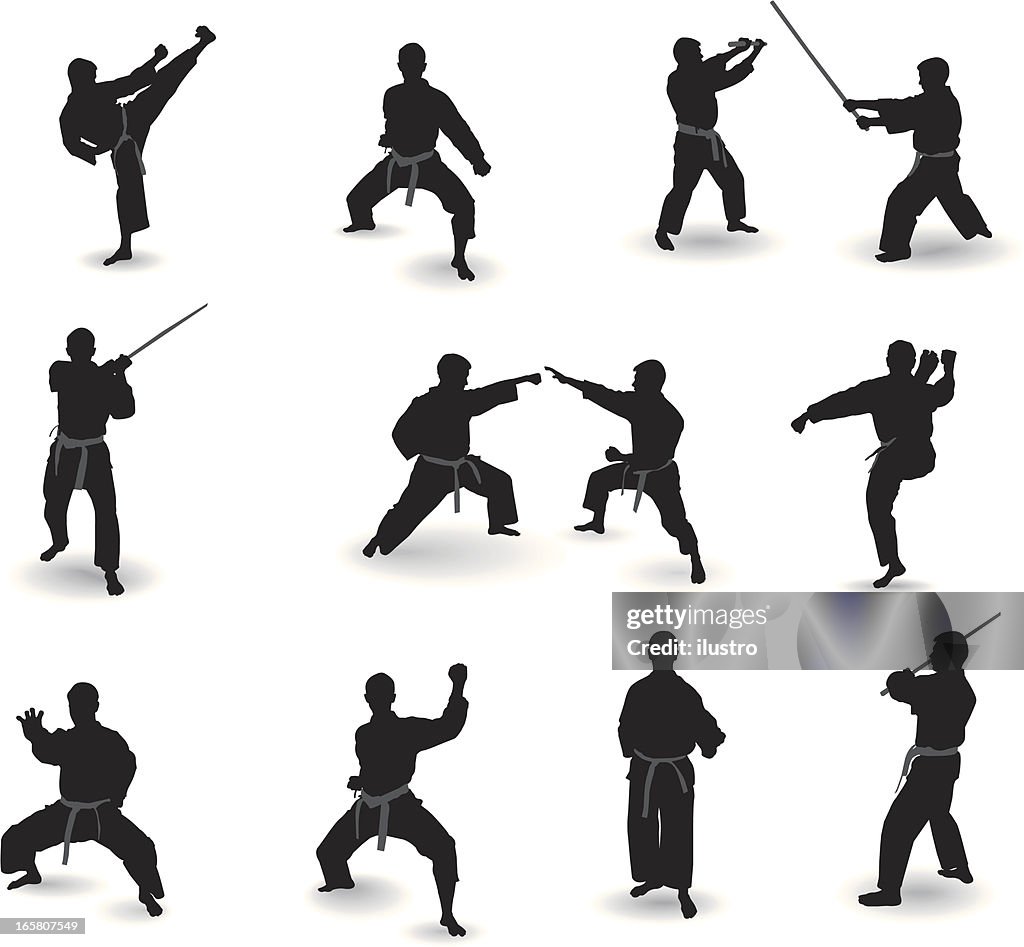 Well-known martial arts