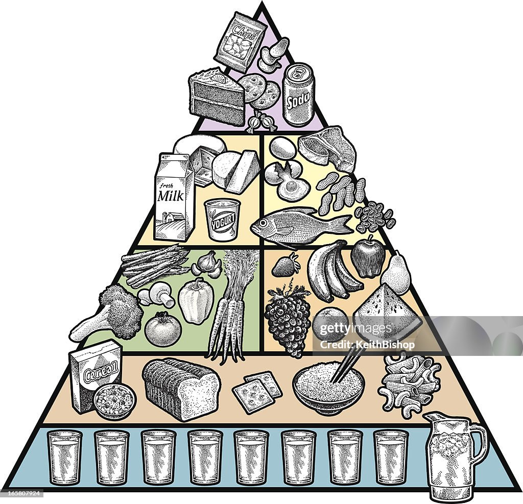 Pirámide de comida