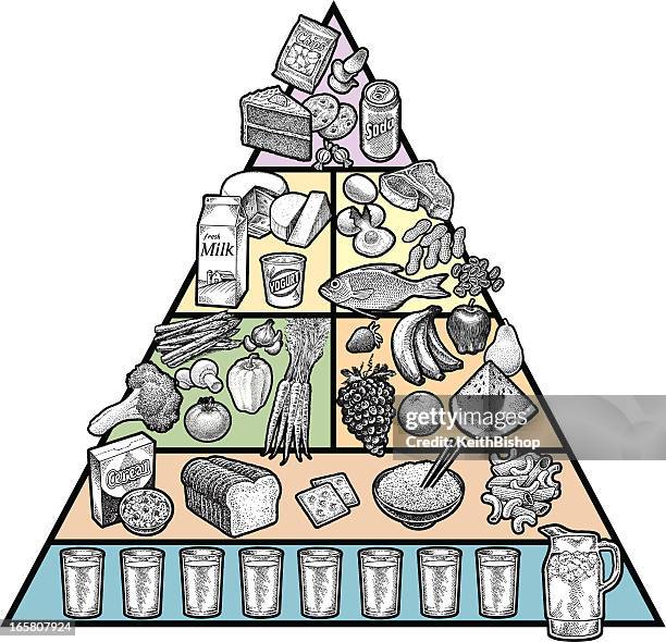 stockillustraties, clipart, cartoons en iconen met food pyramid - food groups