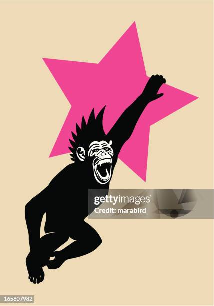 the year of the monkey chimp hanging from red star - angry monkey stock illustrations