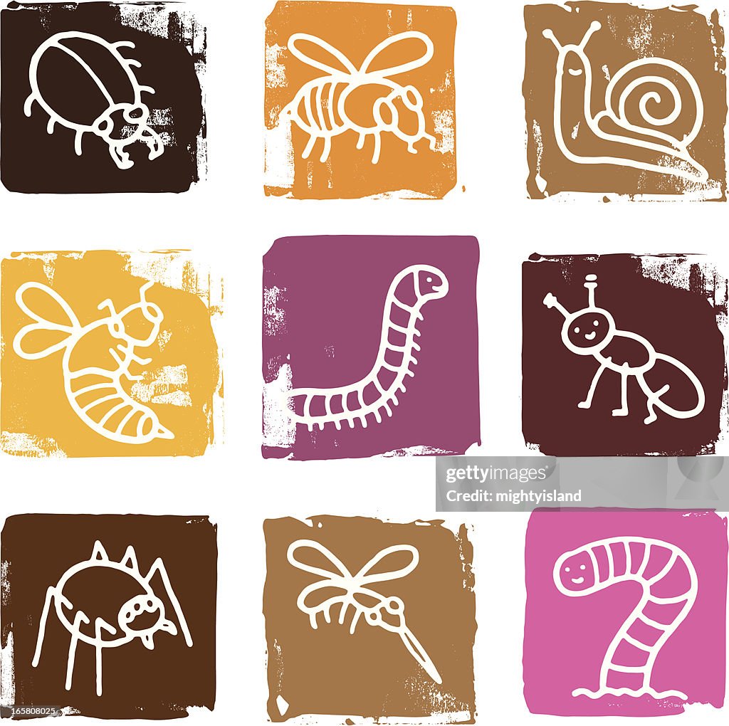 Bug and insect grunge block icons
