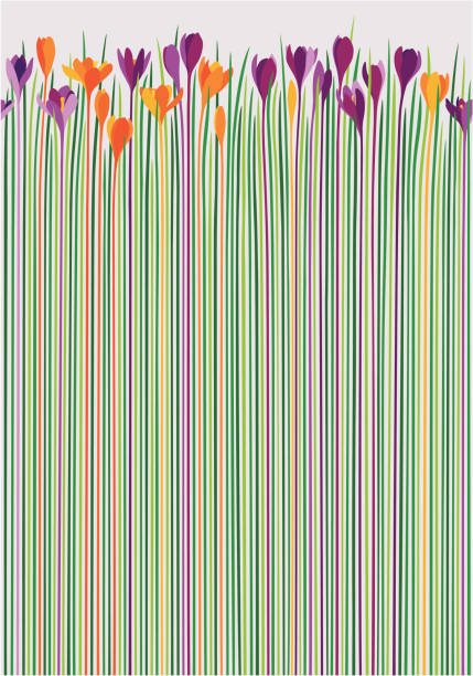 colorful crocuses as pattern - spring background stock illustrations