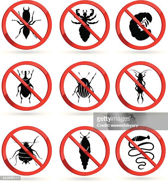 schädlichen insekten - lausd stock-grafiken, -clipart, -cartoons und -symbole