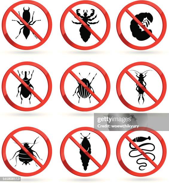 harmful insects - louse stock illustrations