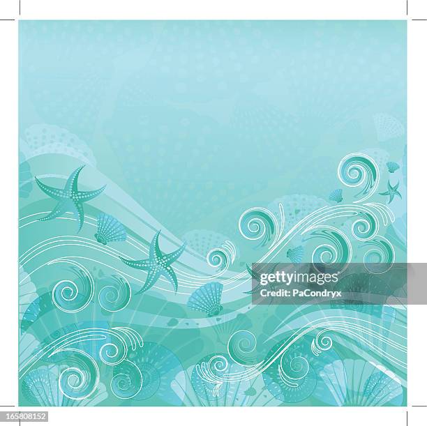 sea water floral background - animal shell stock illustrations
