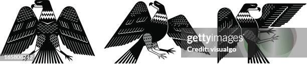 eagle - falcon stock illustrations