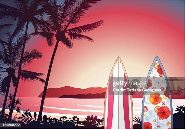 stockillustraties, clipart, cartoons en iconen met tropical sunset - het grote eiland hawaï eilanden