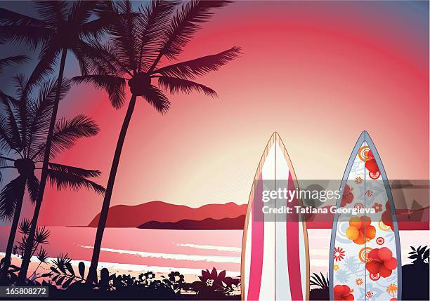 bildbanksillustrationer, clip art samt tecknat material och ikoner med tropical sunset - södra stilla havet