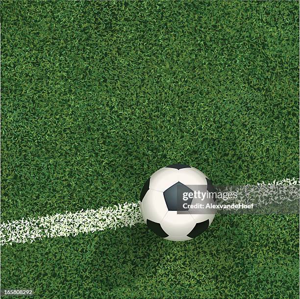 soccerball und gras mit ausblick - playing field stock-grafiken, -clipart, -cartoons und -symbole