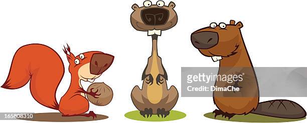 funny rodents - funny groundhog 幅插畫檔、美工圖案、卡通及圖標