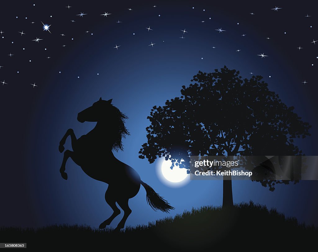 Wild Stallion Background - Horse Under the Moonlight