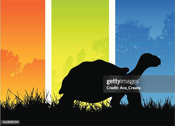 tortoise walking on grass silhouette - in silhouette zoo animals stock illustrations