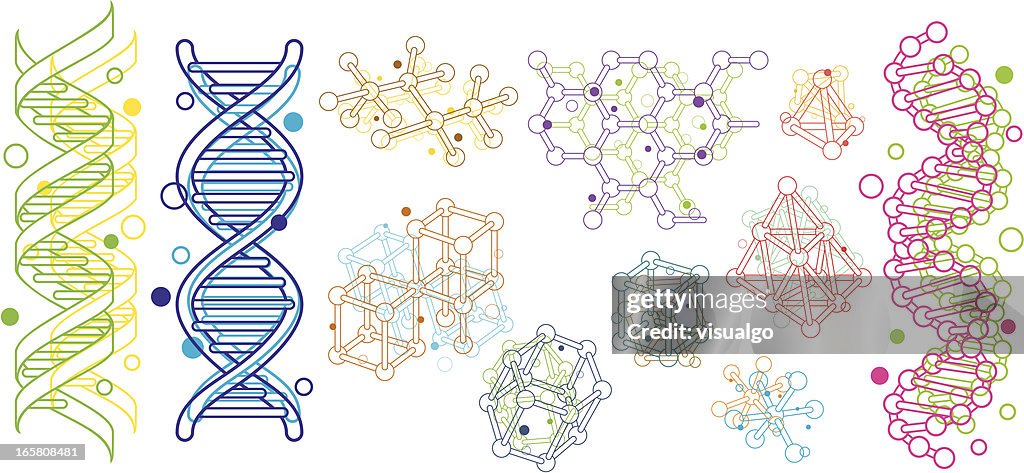 Estrutura Molecular