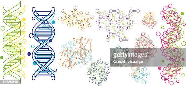 ilustrações, clipart, desenhos animados e ícones de estrutura molecular - cromossoma