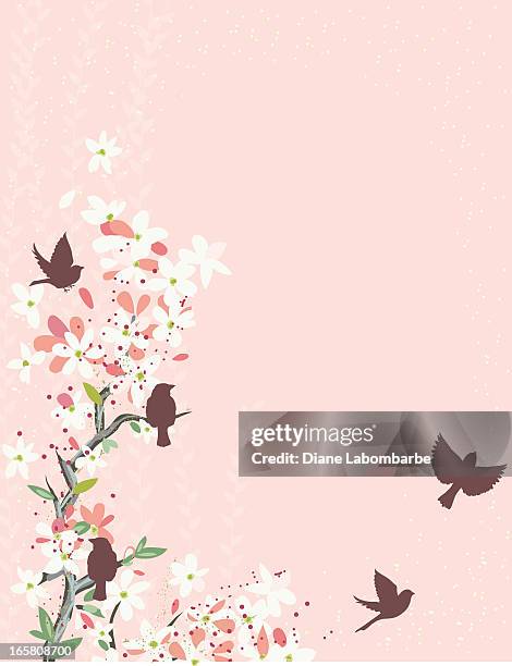 cherry blossoms and sparrows - cherry tree stock illustrations