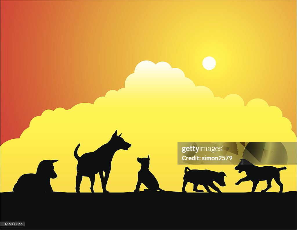 Dog in silhouettes