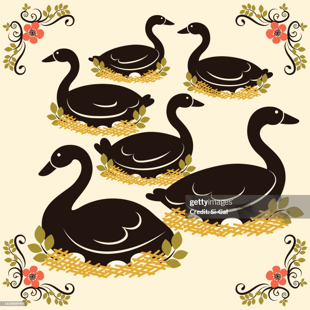 Six Geese a Laying