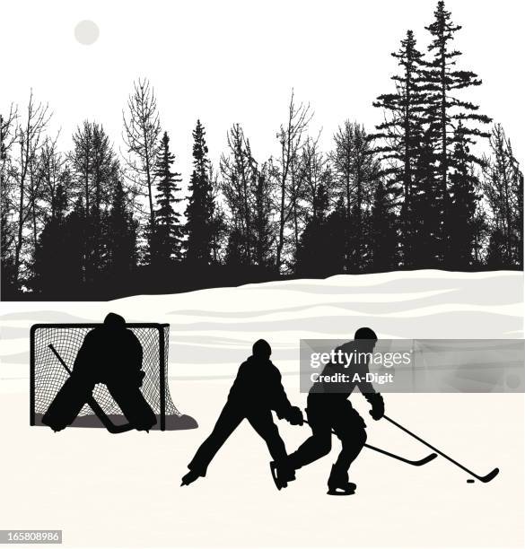 ilustrações, clipart, desenhos animados e ícones de outdoorhockey - ice hockey stick