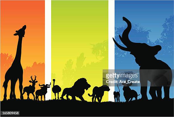 afrikanische tiere in form von morgens bis abends - gazelle stock-grafiken, -clipart, -cartoons und -symbole