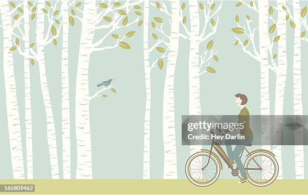 spring ride - birch leaf stock illustrations