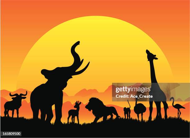 illustrazioni stock, clip art, cartoni animati e icone di tendenza di safari africano silhouetes in nero con sole - animale-da-safari