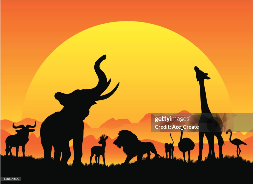 African safari silhouetes in black with sun