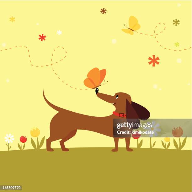 dog with butterfly - chamomile stock illustrations