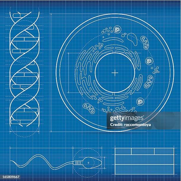 ilustraciones, imágenes clip art, dibujos animados e iconos de stock de cianotipo, biología - ciencia forense