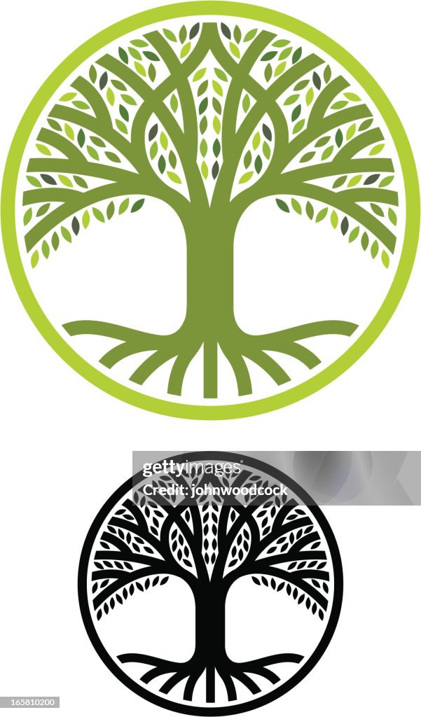 Round Tree Roots High-Res Vector Graphic - Getty Images