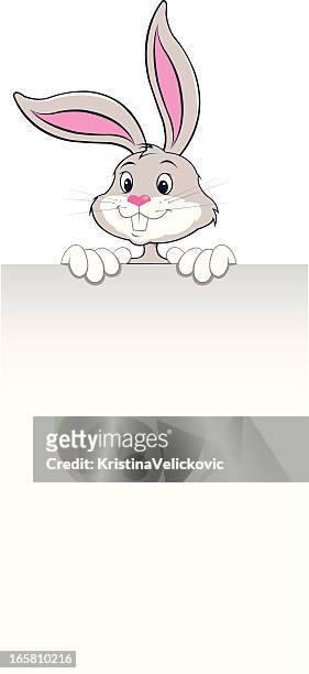 rabbit with banner - easter bunny letter stock illustrations