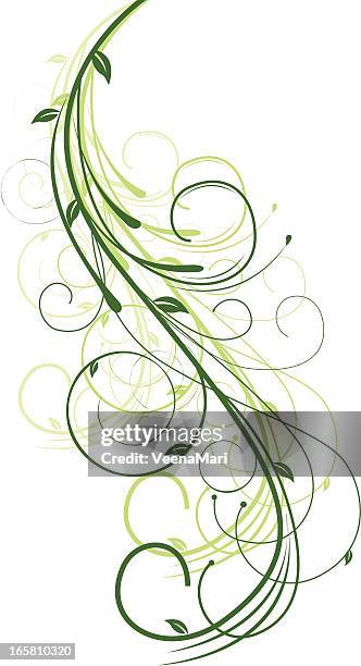 spring swirls - vine vector stock illustrations