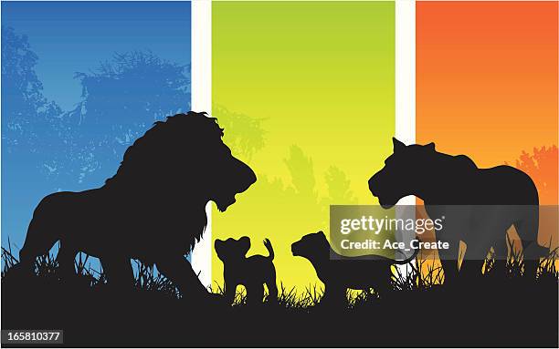stockillustraties, clipart, cartoons en iconen met african lion family pride with cubs silhouette - welp