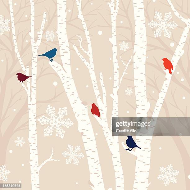 winter birds background - bird on a tree stock illustrations