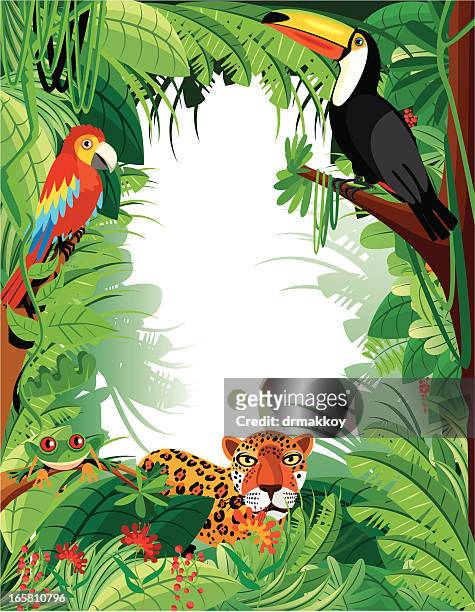 tropical amazon - jungle tree cartoon stock illustrations