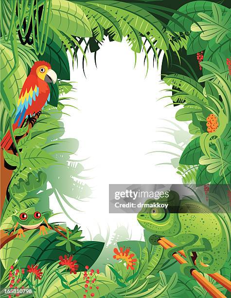 熱帯雨林 - アマゾン点のイラスト素材／クリップアート素材／マンガ素材／アイコン素材