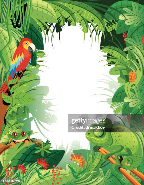 bildbanksillustrationer, clip art samt tecknat material och ikoner med tropical rainforest - kameleont