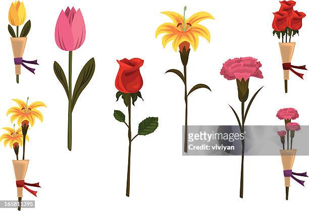 ilustraciones, imágenes clip art, dibujos animados e iconos de stock de el día de flores - carnation flower