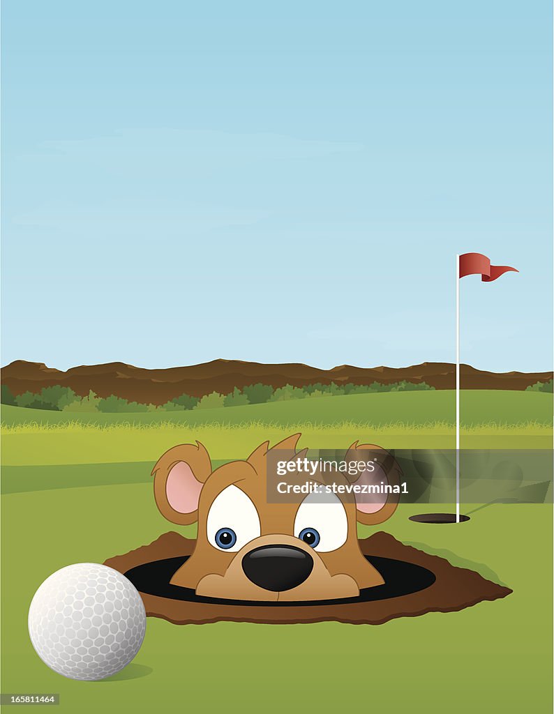 Golfing with a Gopher