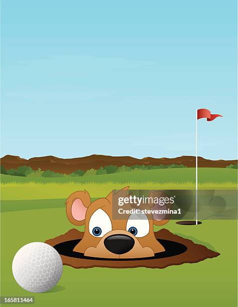 golfing with a gopher - mini golf stock illustrations