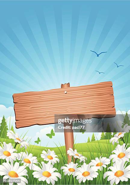 spring hölzernen schild - primavera stock-grafiken, -clipart, -cartoons und -symbole