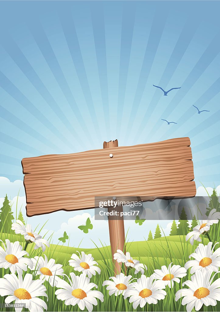 Natural Spring Sign Spring Wooden Sign High-Res Vector Graphic - Getty Images