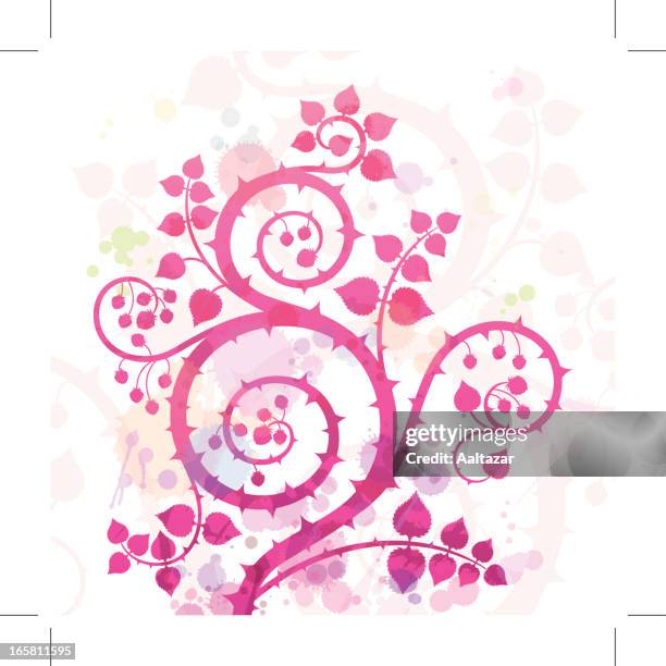 watercolor raspberry swirl - thorn stock illustrations