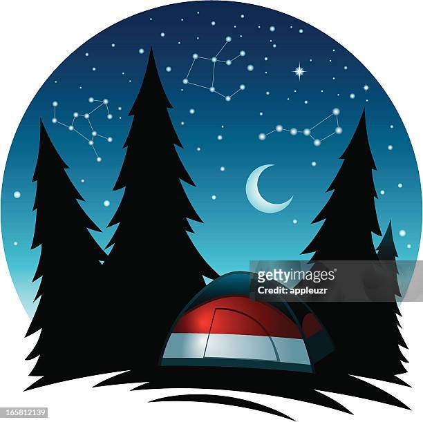 tent surrounded by pine trees at night - dome tent stock illustrations