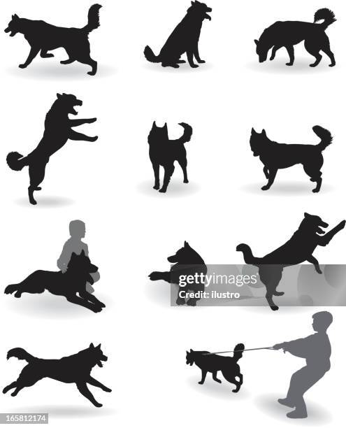 59点のシベリアンハスキーイラスト素材 Getty Images 59点のシベリアンハスキーイラスト素材 Getty Images